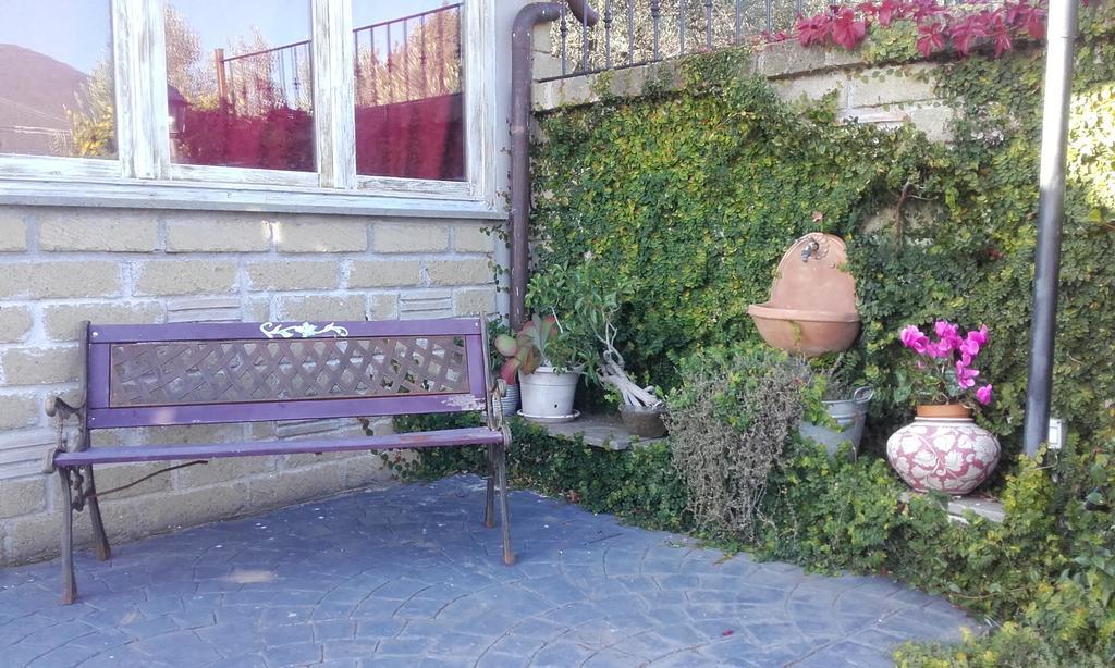 Il Poggio Degli Ulivi Διαμέρισμα Trevignano Romano Δωμάτιο φωτογραφία
