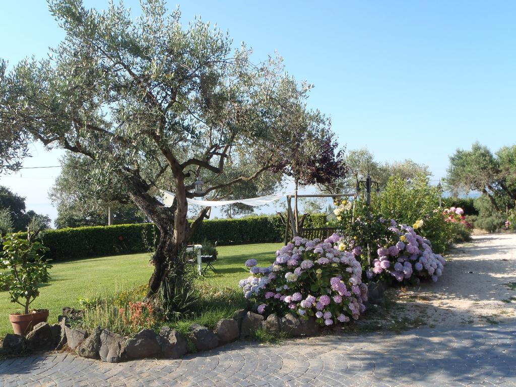 Il Poggio Degli Ulivi Διαμέρισμα Trevignano Romano Δωμάτιο φωτογραφία
