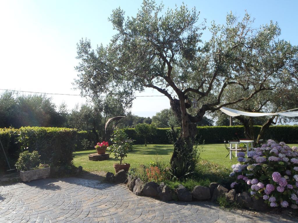 Il Poggio Degli Ulivi Διαμέρισμα Trevignano Romano Δωμάτιο φωτογραφία
