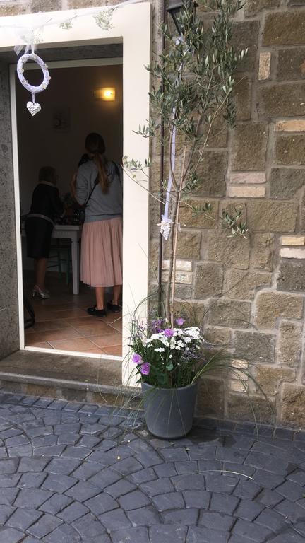 Il Poggio Degli Ulivi Διαμέρισμα Trevignano Romano Εξωτερικό φωτογραφία