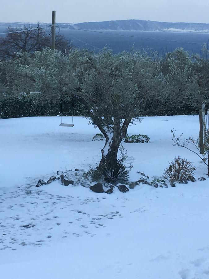 Il Poggio Degli Ulivi Διαμέρισμα Trevignano Romano Εξωτερικό φωτογραφία