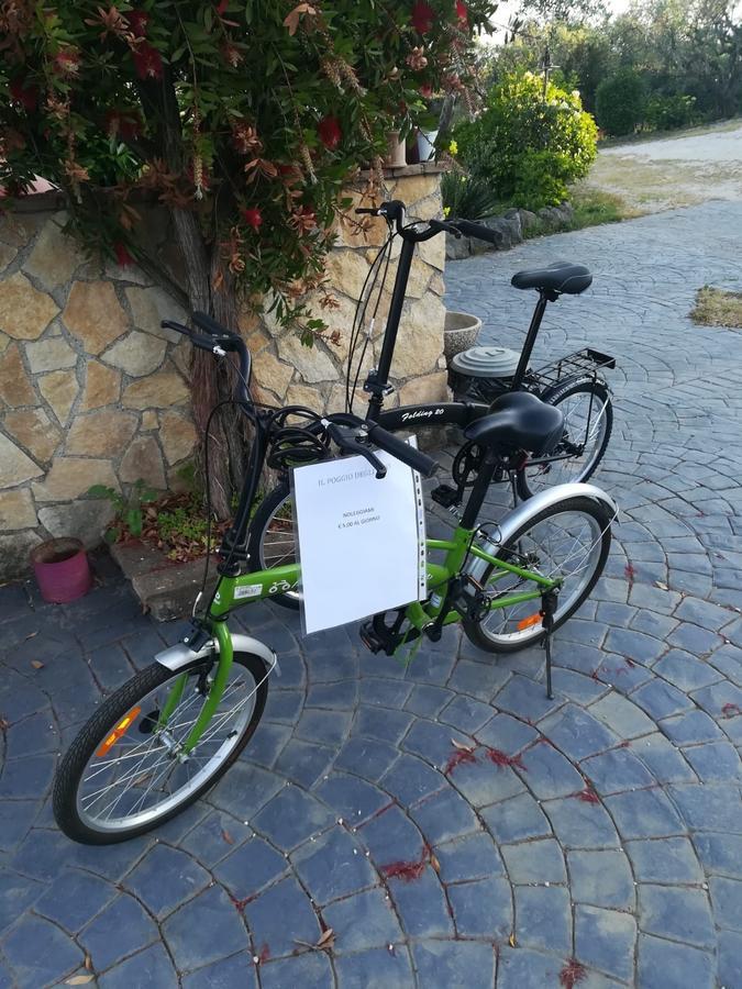 Il Poggio Degli Ulivi Διαμέρισμα Trevignano Romano Εξωτερικό φωτογραφία