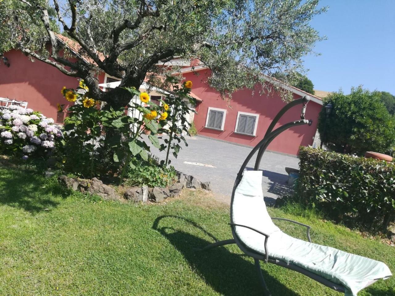 Il Poggio Degli Ulivi Διαμέρισμα Trevignano Romano Εξωτερικό φωτογραφία