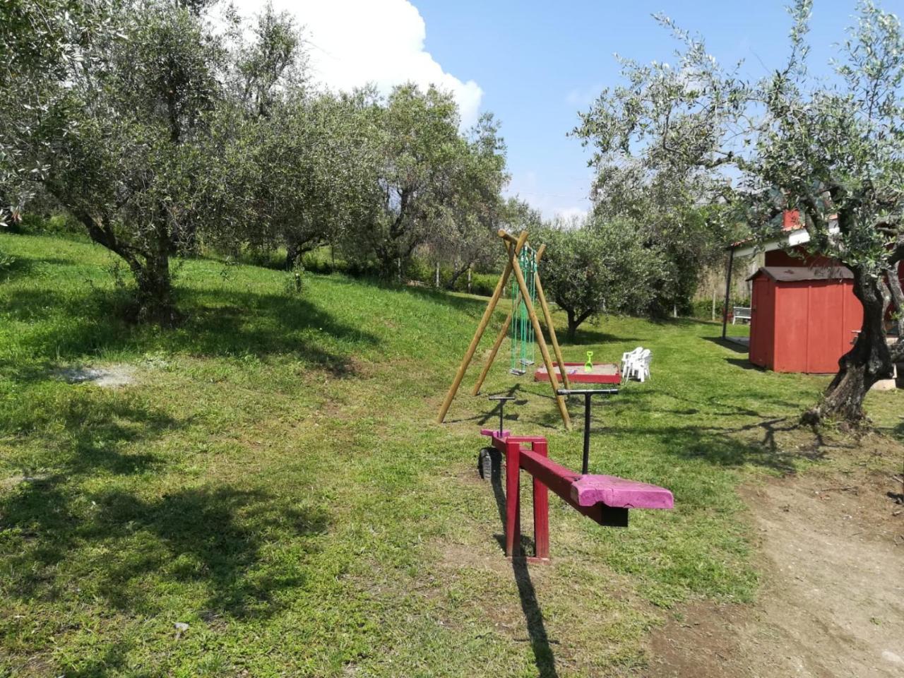 Il Poggio Degli Ulivi Διαμέρισμα Trevignano Romano Εξωτερικό φωτογραφία