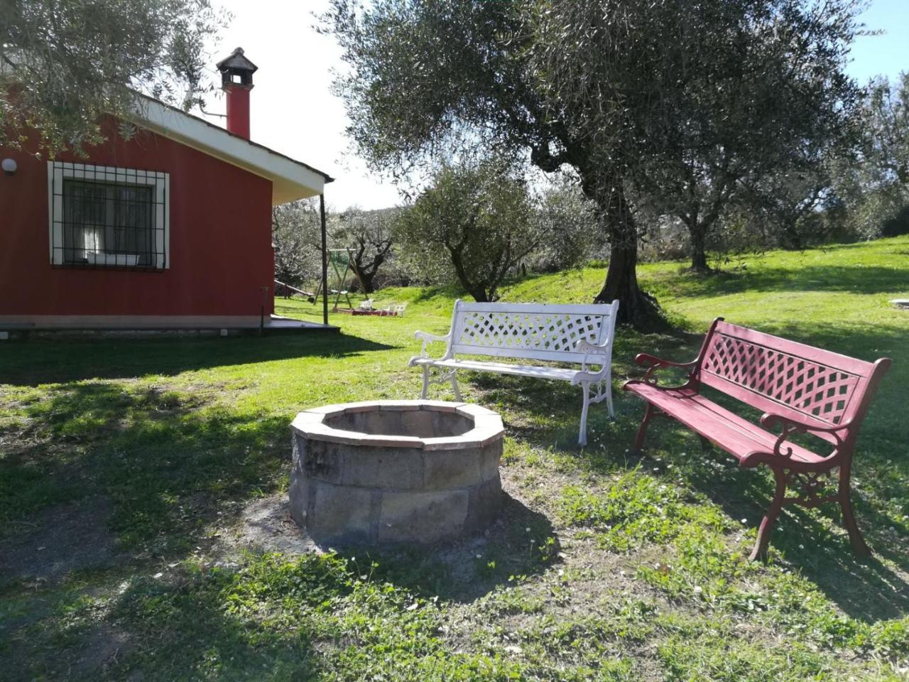 Il Poggio Degli Ulivi Διαμέρισμα Trevignano Romano Εξωτερικό φωτογραφία