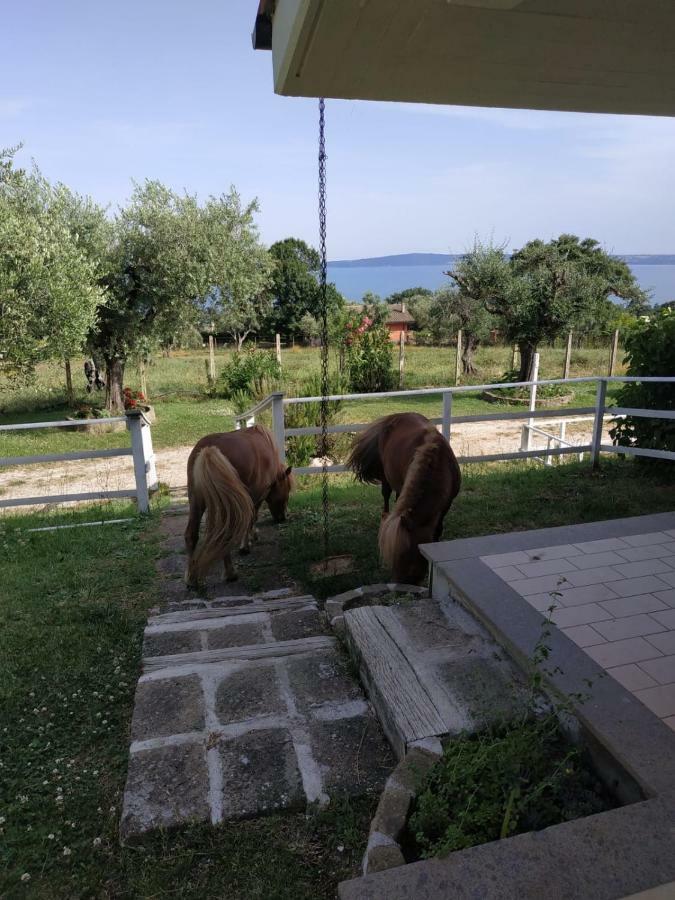 Il Poggio Degli Ulivi Διαμέρισμα Trevignano Romano Εξωτερικό φωτογραφία